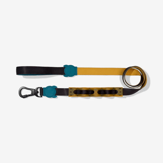 ZEEDOG LEASH VALLEY RUFF1