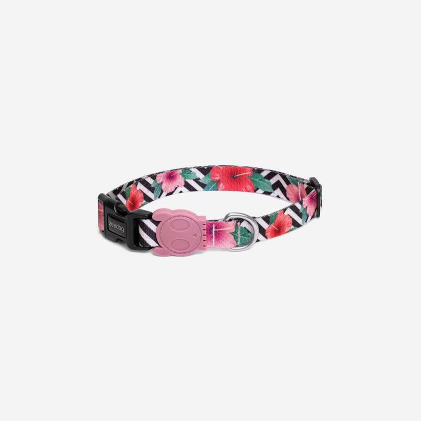 ZEEDOG COLLAR MAHALO2