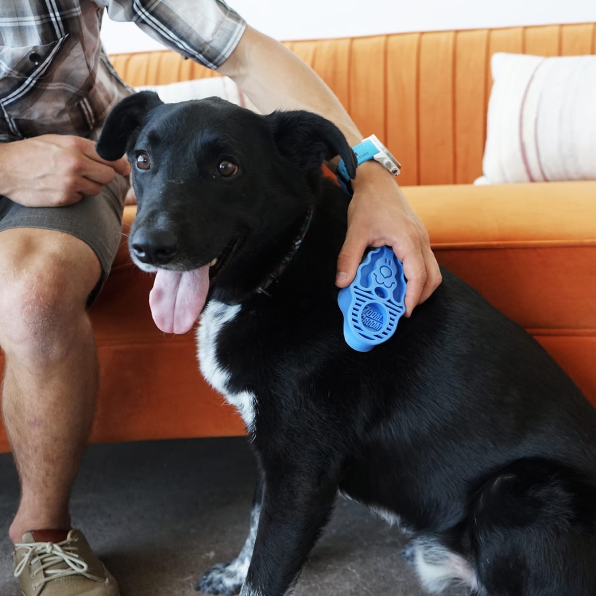 KONG ZOOM GROOM DOG3