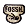Fossil