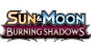 Burning Shadows