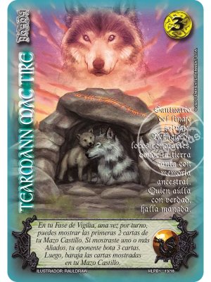 Tearmann Mac Tire - Foil lluvia premium1