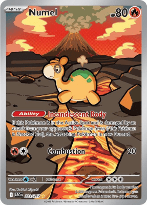 Numel - 223/2171