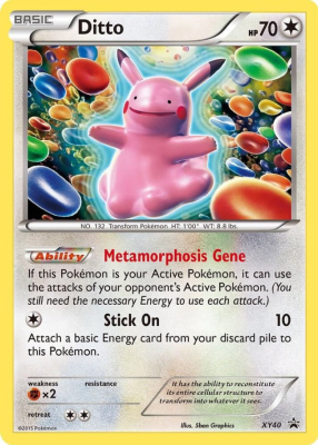 Ditto - XY401