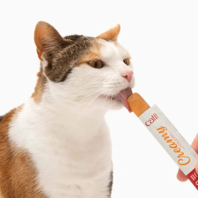 CATIT Creamy unidad1