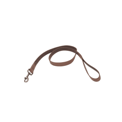COASTAL CIRCLE-T CORREA CUERO CHOCOLATE