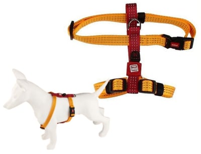 Harness marca Gigwi Classic Line
