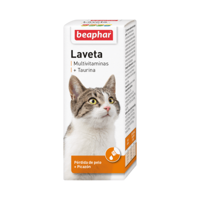 Laveta taurina1
