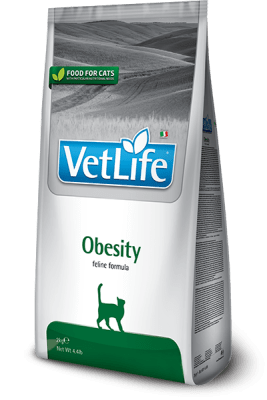 Vet Life Obesity Gato1