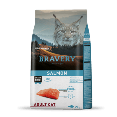 Bravery Salmon Kitten