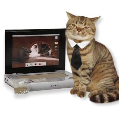 Rascador Computador Gato2