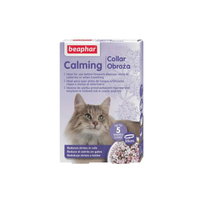 Calming collar gato