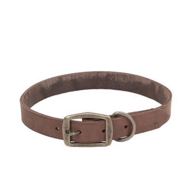 COASTAL CIRCLE-T COLLAR CUERO CHOCOLATE