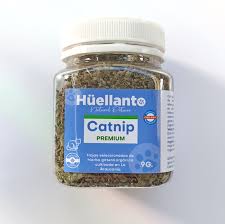 Catnip
