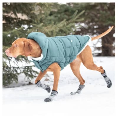 Gf Pet Parka Supper Puff Teal2
