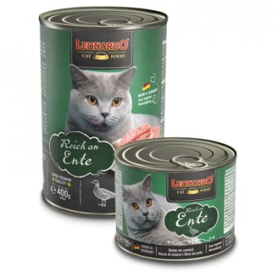 LEONARDO LATAS PATO3