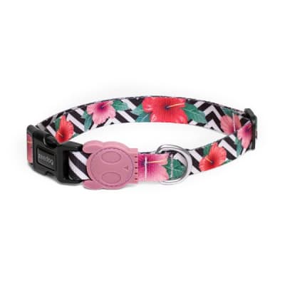 ZEEDOG MAHALO COLLAR1
