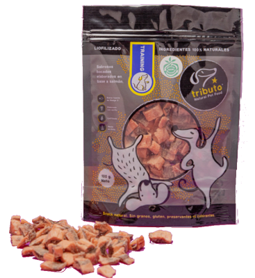 Tributo Training Salmón