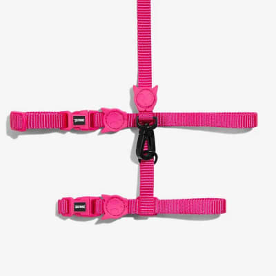 Zeecat Set Arnés+ Correa Pink Led