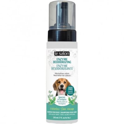 Le Salon Shampoo Seco Desodorizante