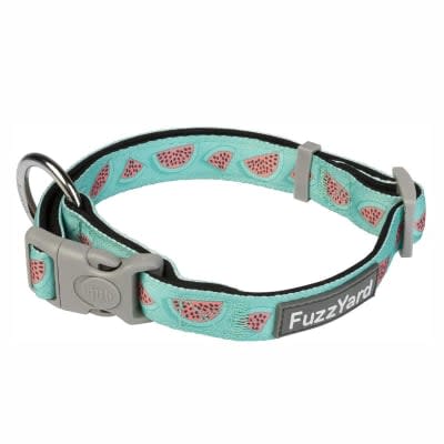 FUZZYARD DOG COLLAR Summer Punch1
