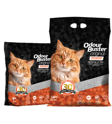 Odor Buster original