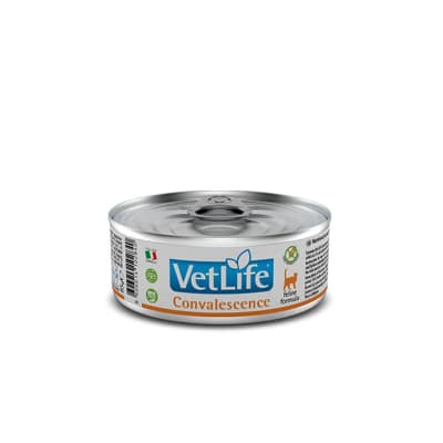 Vet Life WF Cat Convalescence1