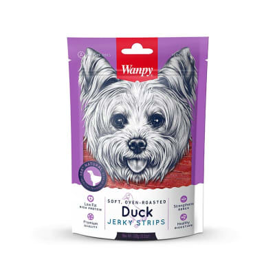 Wanpy Strips Duck