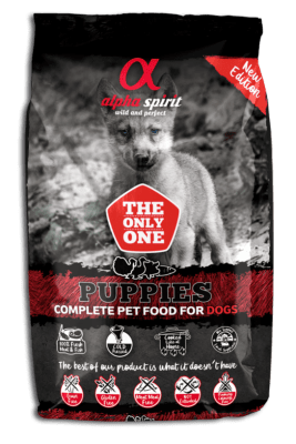 Alpha Spirit Puppies1