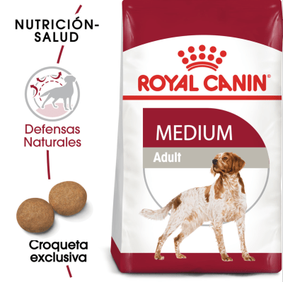MEDIUM ADULTO