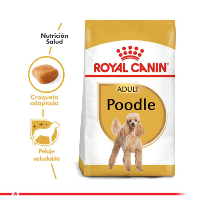 Alimento Royal Canin poodle adulto