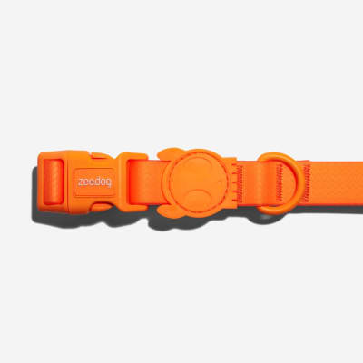 ZEEDOG Neopro Tangerine Collar1