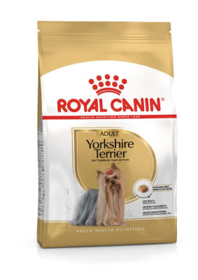 Royal Canin Yorkshire Terrier