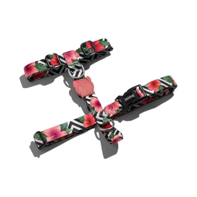 ZEEDOG MAHALO H-HARNESS1