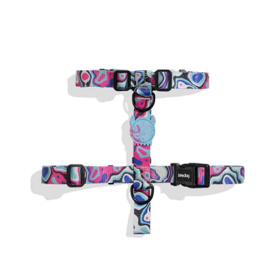 ZEEDOG Blast H-Harness1