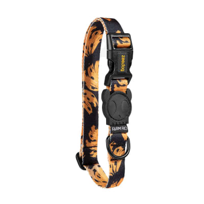 Zeedog Bossa Banana Collar1
