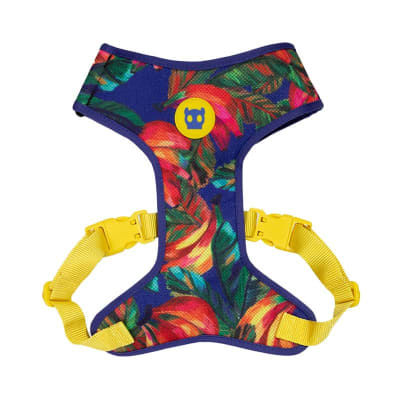 Samba Adj Air Mesh Harness1