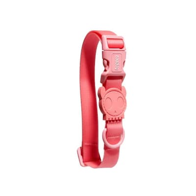 ZEEDOG Nepro Bubblegum Collar1