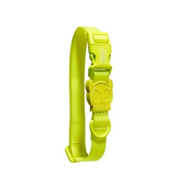 ZEECAT NEOPRO LIME CAT COLLAR1