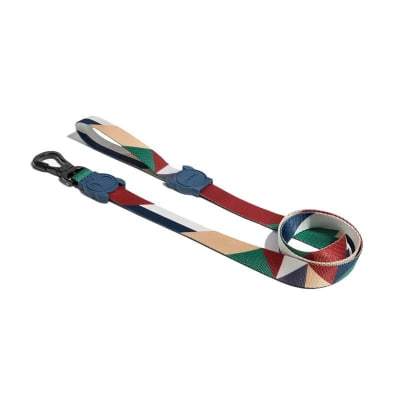 ZEEDOG Pacco Leash1
