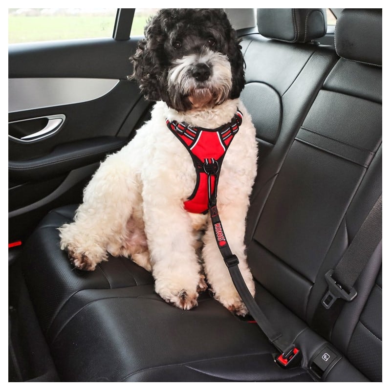 KONG SEAT BELT Pet Corner