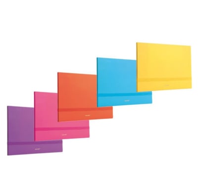 CARPETA TIPO CARTERA A4 C/ ELÁSTICO (1UN) DATAZONE