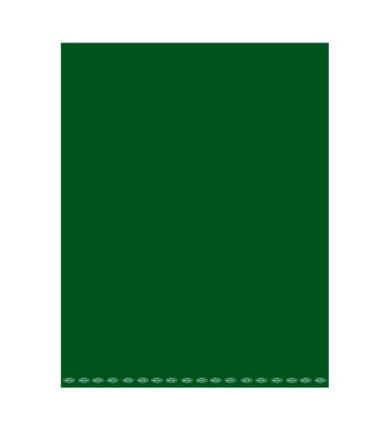 CARTULINA PINTADA 53X75CM VERDE OSCURO (A-54) ARTEL