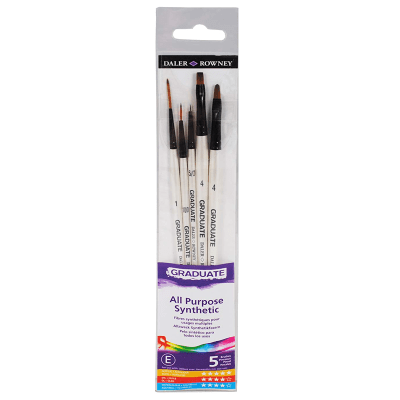 SET 5 PINCELES GRADUATE DETALLES DALER ROWNEY