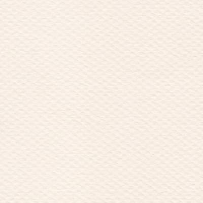 CARTULINA MI-TEINTES 160G (#110) FLOR DE LIS 50X60CM CANSON