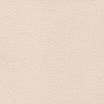 CARTULINA MI-TEINTES 160G (#111) MARFIL 50X60CM CANSON