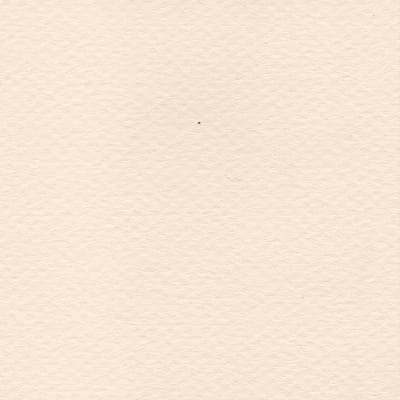 CARTULINA MI-TEINTES 160G (#112) ARENA 50X60CM CANSON