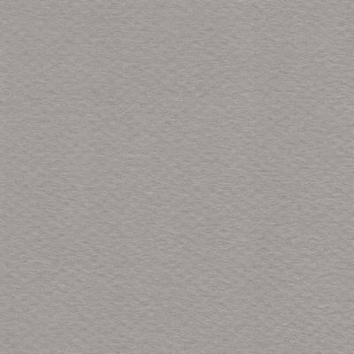 CARTULINA MI-TEINTES 160G (#122) FRANELA 50X60CM CANSON