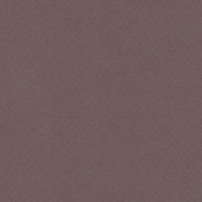 CARTULINA MI-TEINTES 160G (#133) SEPIA 50X60CM CANSON