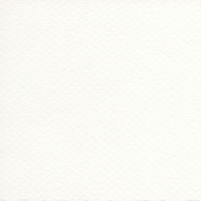 CARTULINA MI-TEINTES 160G (#335) BLANCO 50X60CM CANSON